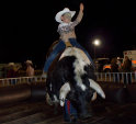 getbucked001002.jpg