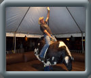 getbucked002003.jpg