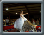 getbucked003001.jpg