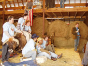 getbucked005001.jpg