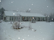 getbucked005002.jpg